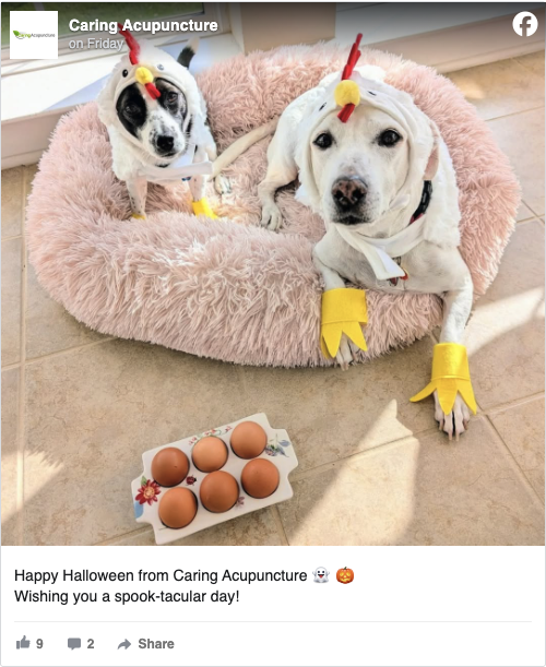 Screenshot 2025-11-01 at 10.04.44 AM Facebook Post - Halloween